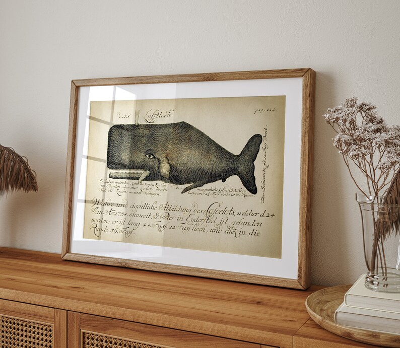 Aged WHALE Poster, Whale Print, Marine Decor, Nautical Art, Seal Life, Marine Life Print, Beach Home, Coastal theme, unframed wall art image 3