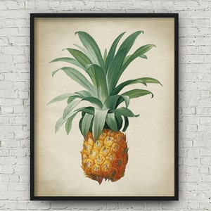 Pineapple botanical print, Pineapple poster, tropical fruit, Pineapple print, Pineapple art decor, botanical art, Fast Track Shipping image 3