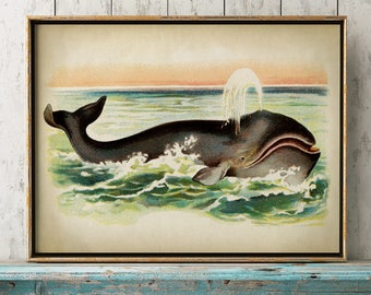 Greenland Whale Print: Aged Nautical Marine Art
