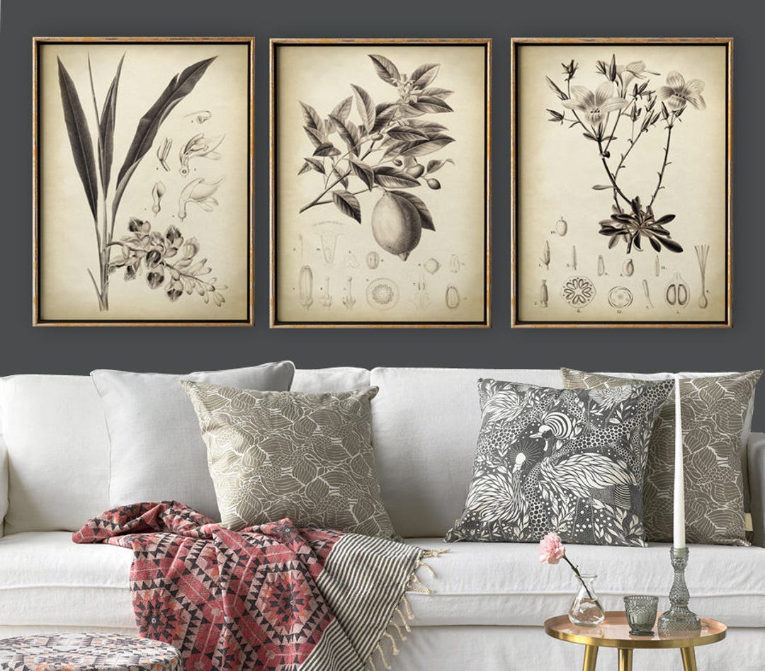 BOTANICAL Print Set of 3, Flower Print Set in Sepia Vintage Style