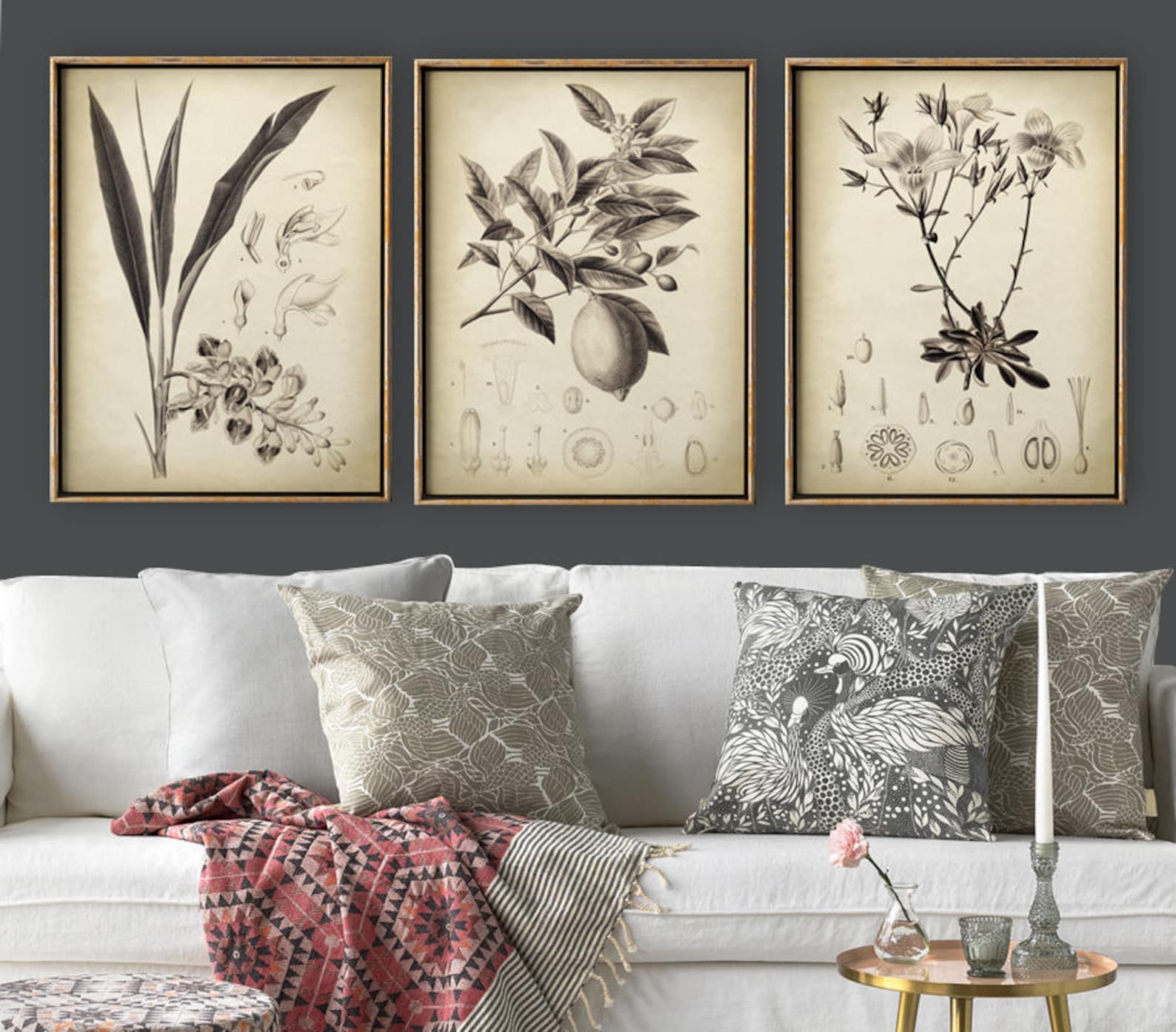 BOTANICAL Print Set of 3 Flower Print Set in Sepia Vintage Etsy