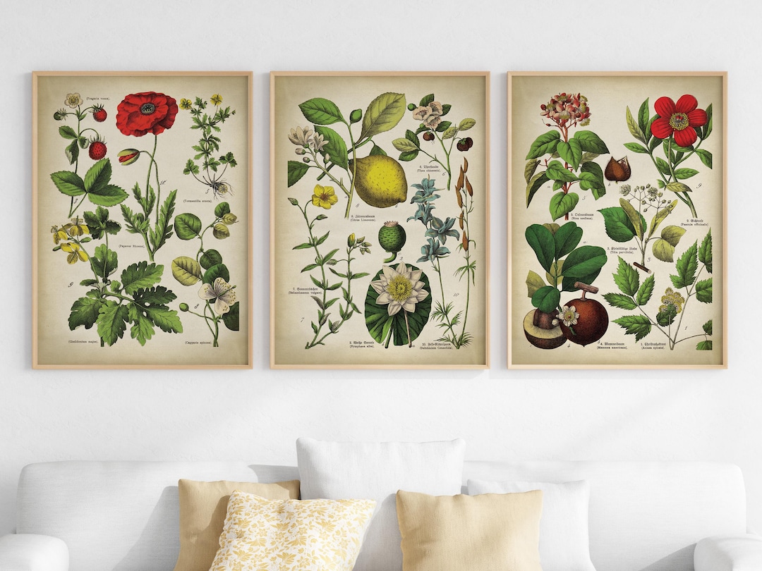 Vintage Botanical Prints Set: Antique Flower Gallery Wall Art - Etsy