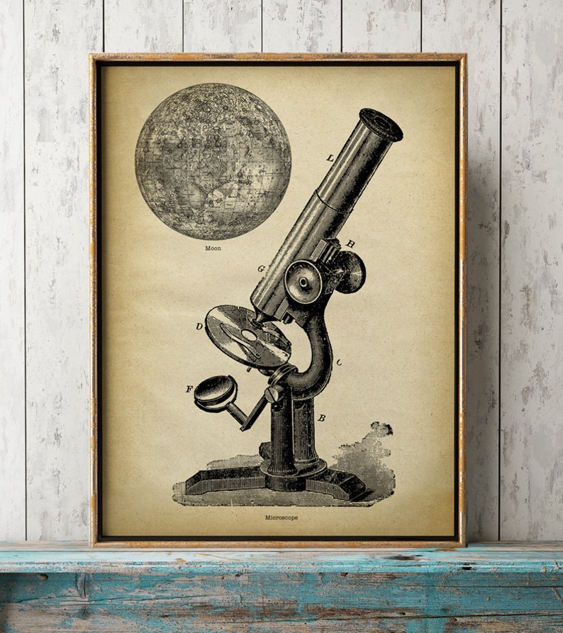 Microscope and Moon Astronomy Print Astronomy Room Decor Etsy