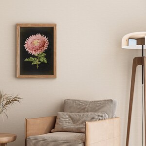 Botanical Poster, Pink Chrysanthemum Flower Print, vintage aesthetic, Black Background, Flower Poster, Kitchen decor Art Fast Track Shipping image 6