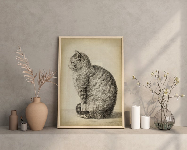 Cat Art Print, Sitting Cat, Pencil Drawing of a Cat Side, Vintage Style, Domestic Cat, Domestic Animal, Aged Cat Illustration Wall Art image 2