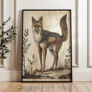 Fox art print, vintage fox aesthetic, woodland forest animal decor, farmhouse rustic decor, Mailed printed wall art, Physical Prints.