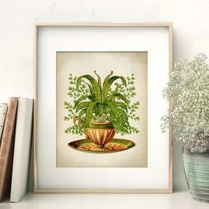 May include: A vintage illustration of a green fern plant growing in a brown and green teacup with a matching saucer. The illustration is on a beige background.