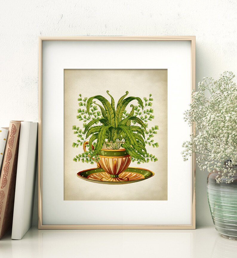 May include: A vintage illustration of a green fern plant growing in a brown and green teacup with a matching saucer. The illustration is on a beige background.