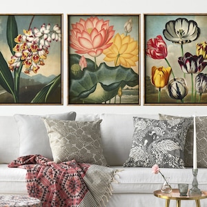 Ensemble de 3 imprimés botaniques, ensemble d'impressions de fleurs, affiche botanique, décor mural botanique assorti, expédition rapide