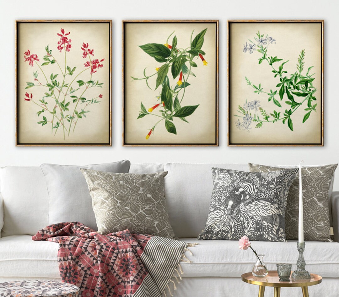 Vintage Botanical Print Set of 3: Delicate Flower Wall Art - Etsy