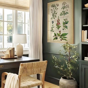 May include: A home office with a dark green wall, a white lamp, a wooden desk, a woven chair, a white throw blanket, a potted plant, and a framed botanical print with the text "Cicuta virosa - Cicuta maculata - Cicuta bulbifera - Cicuta affinis - Digitalis purpurea - Mandragora officinarum - Atropa belladonna - Hyoscyamus niger - Solanum dulcamara -  R. Redout&eacute;".