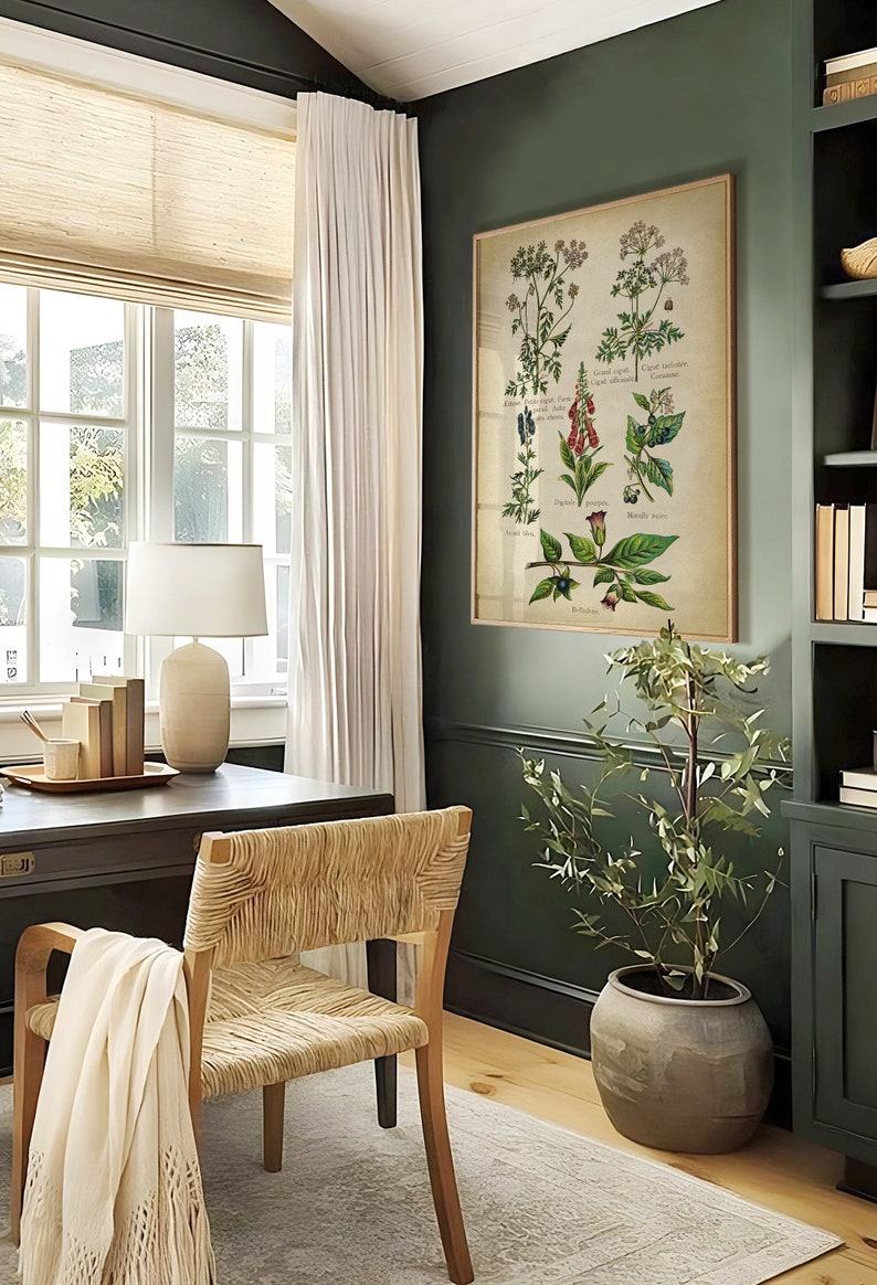 May include: A home office with a dark green wall, a white lamp, a wooden desk, a woven chair, a white throw blanket, a potted plant, and a framed botanical print with the text "Cicuta virosa - Cicuta maculata - Cicuta bulbifera - Cicuta affinis - Digitalis purpurea - Mandragora officinarum - Atropa belladonna - Hyoscyamus niger - Solanum dulcamara -  R. Redout&eacute;".