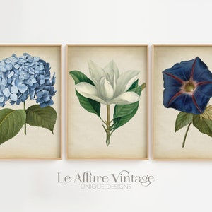 Botanical print SET of 3 art posters, botanical kitchen decor, botanical  instant collection, flowers print set Fast Track Shipping