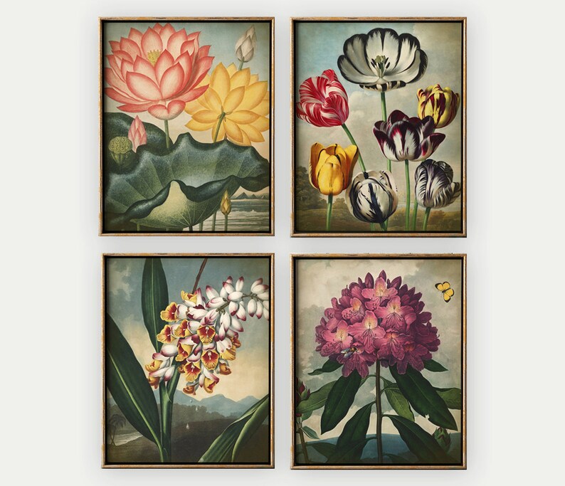 May include: Set of four framed botanical prints featuring various flowers. The prints are in a vintage style with a muted color palette. The flowers include a pink lotus, a cluster of yellow and red tulips, a white and yellow orchid, and a pink rhododendron.