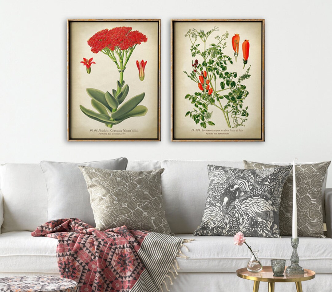 Red Flowers Botanical Print Set: Vintage Floral Giclée Posters - Etsy