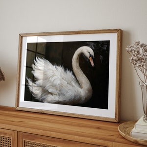 May include: A framed print of a white swan with its head turned to the side, set against a dark background. The swan's feathers are detailed and the image has a painterly style.