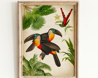 Palm and Toucan Bird Print, Palm Tree Poster, Tropical Birds Forest Poster, Bird Jungle Decor Art,Tropical Bird Print Fast Track Shipping