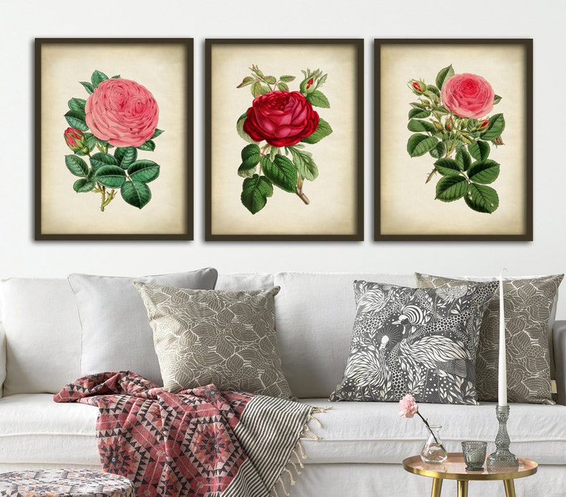 Botanical print set of 3, flower print set, roses, red rose print, pink rose print, botanical poster, botanical wall decor image 1