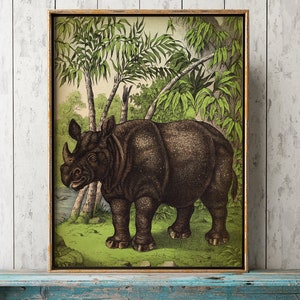 RHINOCEROS Druck, RHINO Poster, Wildes Tier, Wilde Fauna, Dschungel Fauna, Naturgeschichte Kunst Fast Track Versand