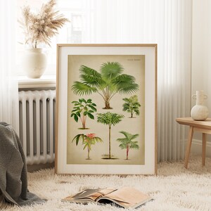 Puede incluir: Una impresi&oacute;n bot&aacute;nica enmarcada que presenta una colecci&oacute;n de palmeras. La impresi&oacute;n tiene una est&eacute;tica vintage y se coloca sobre un fondo beige claro. El t&iacute;tulo "Palm Trees" est&aacute; impreso en la parte superior de la impresi&oacute;n.