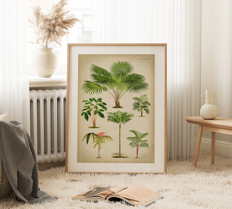 Puede incluir: Una impresi&oacute;n bot&aacute;nica enmarcada que presenta una colecci&oacute;n de palmeras. La impresi&oacute;n tiene una est&eacute;tica vintage y se coloca sobre un fondo beige claro. El t&iacute;tulo "Palm Trees" est&aacute; impreso en la parte superior de la impresi&oacute;n.