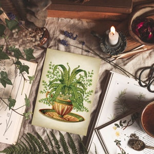 May include: A vintage botanical illustration of a fern plant growing in a teacup. The illustration is printed on a cream-colored card with a brown border.