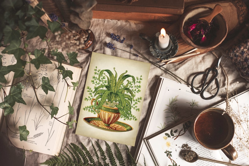 May include: A vintage botanical illustration of a fern plant growing in a teacup. The illustration is printed on a cream-colored card with a brown border.