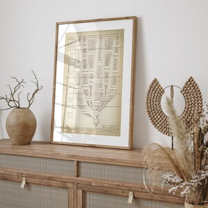 May include: A framed vintage botanical illustration of a tree with branches and leaves. The illustration is in black and white and is set against a cream background. The frame is a light brown wood.