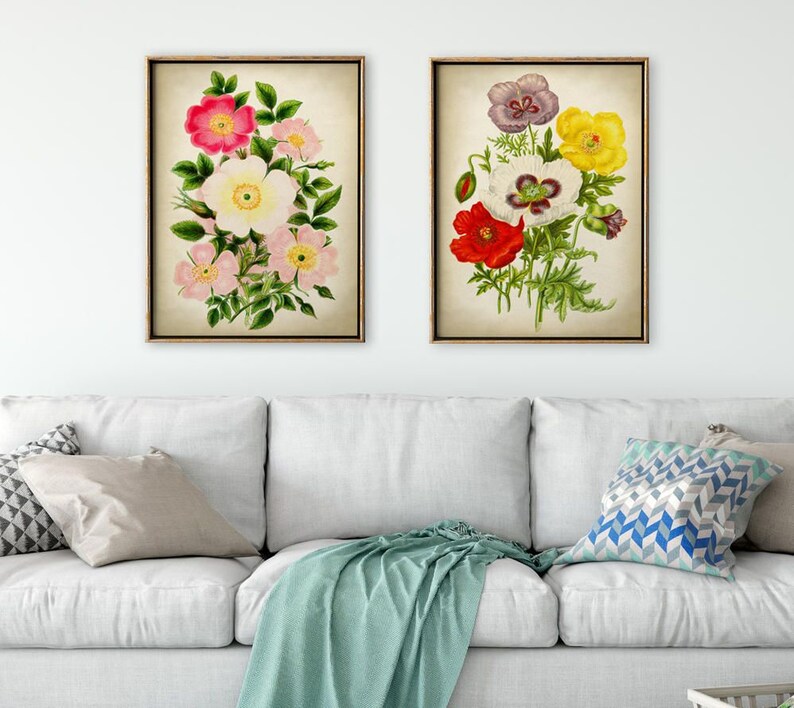 May include: Two framed botanical prints featuring vintage illustrations of flowers. The first print shows a bouquet of pink and white roses with green leaves. The second print shows a bouquet of red, white, yellow, and purple poppies with green leaves.