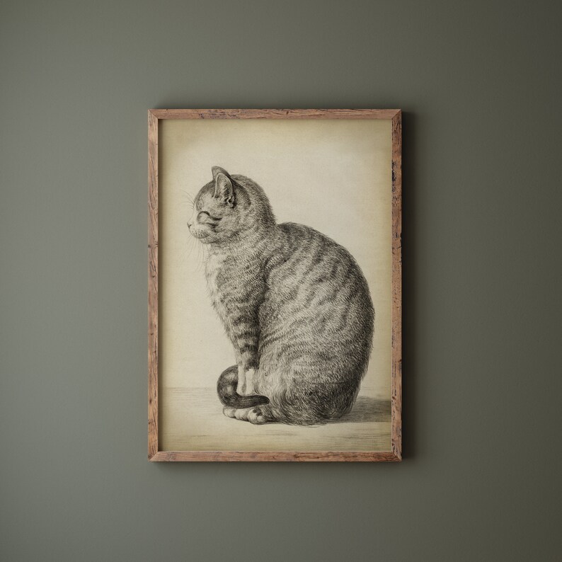 Cat Art Print, Sitting Cat, Pencil Drawing of a Cat Side, Vintage Style, Domestic Cat, Domestic Animal, Aged Cat Illustration Wall Art image 8