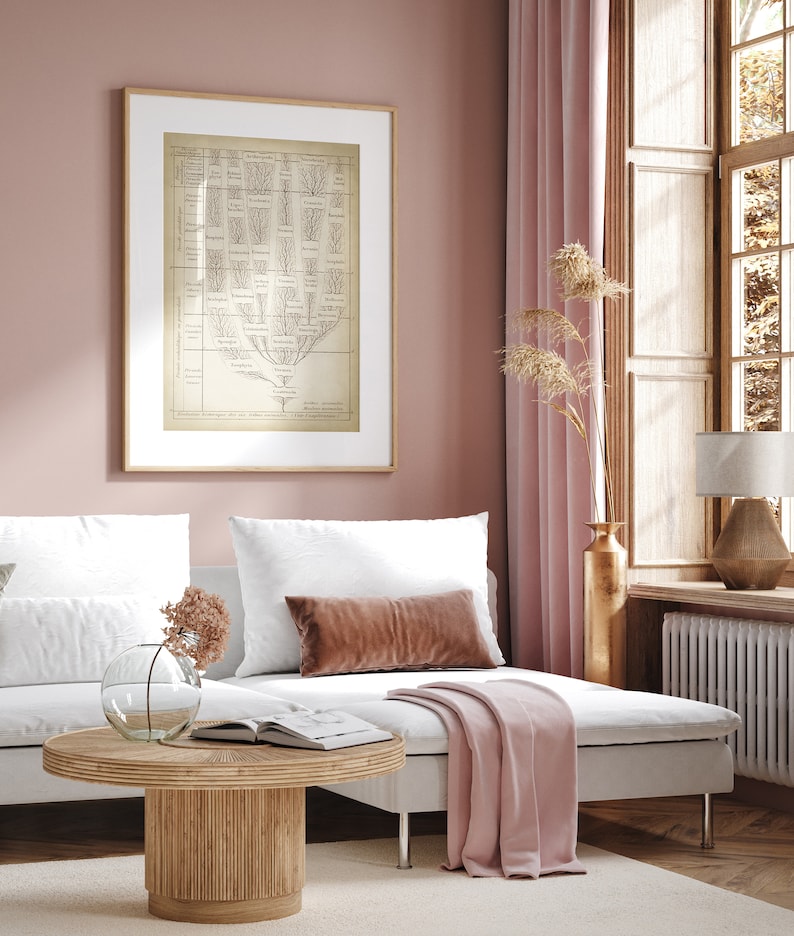 May include: A white couch with a pink throw blanket and a brown throw pillow sits in a room with a pink wall and a framed print of a tree diagram. A wooden coffee table with a book and a vase with dried flowers sits in front of the couch.