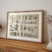 BEEKEEPING Poster, Beekeeper Chart Print, Apiculture Art Illustration ...