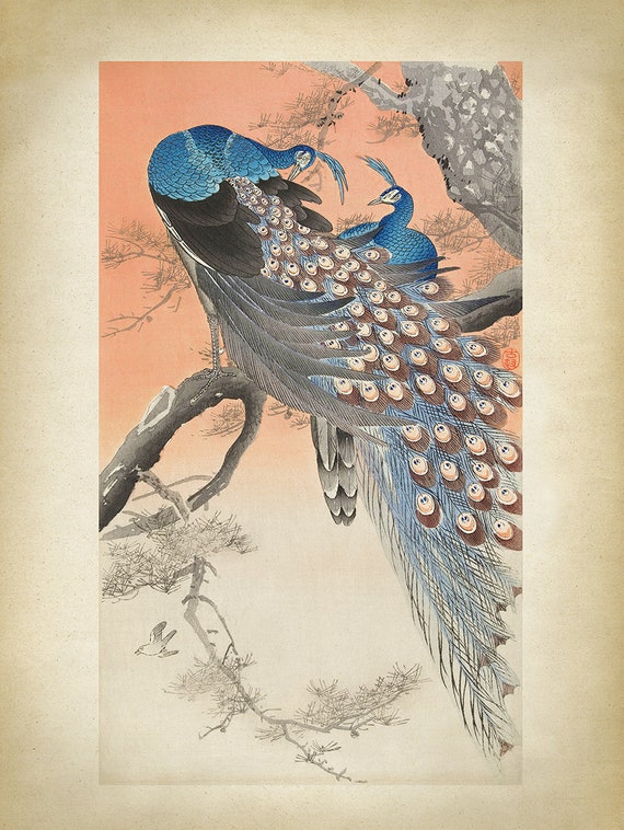 ★Original ART  ‘Peacock’ 81endwiBtQL._AC_UF350,