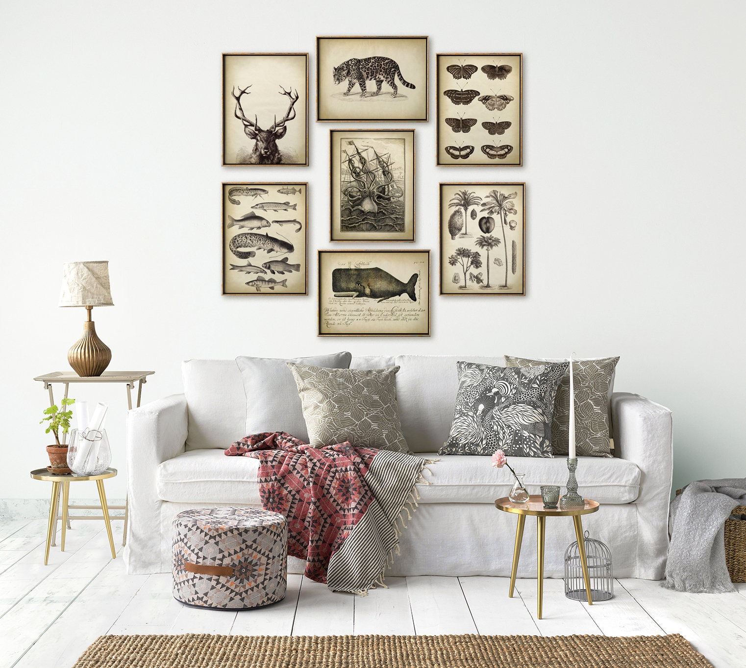 Gallery Wall Art Print SET of 7 Art Prints, Natural History Prints,  Naturalist Posters, Sciences Nature Wall Decor Fast Track Shipping - Etsy