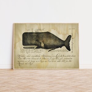 Aged WHALE Poster, Whale Print, Marine Decor, Nautical Art, Seal Life, Marine Life Print, Beach Home, Coastal theme, unframed wall art image 2