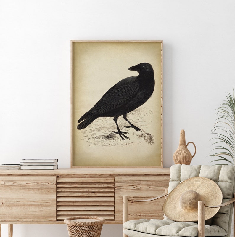 Black Raven Print, vintage aesthetic, black Crow art print, Bird, Gothic Decor, fall decor, winter Wall Art image 2