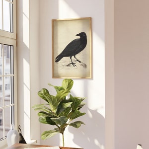 Black Raven Print, vintage aesthetic, black Crow art print, Bird, Gothic Decor, fall decor, winter Wall Art image 3