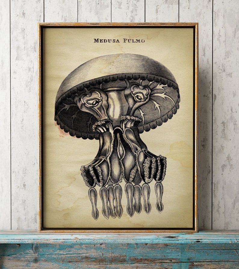 Nautischen thema dekor partei