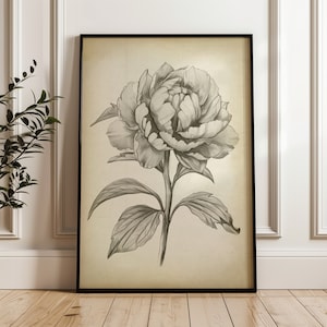 Rosen-Botanischer Blumen-Kunstdruck, Bleistiftzeichnung, Skizzendruck, Vintage-Blumen, rustikales Bauernhaus-Dekor, gedruckte Wandkunst per Schnellpost verschickt