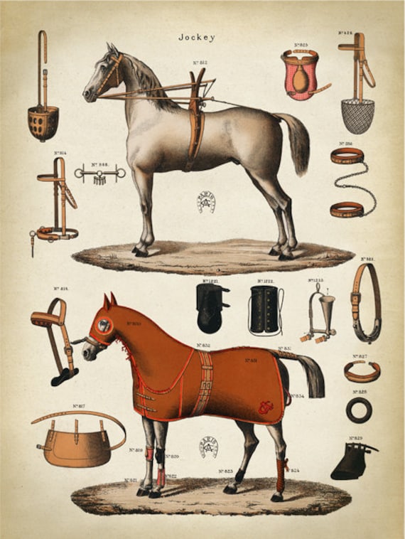 Jeg accepterer det Tilfældig Fødested HORSEBACK EQUIPMENT Print Horse Poster Jockey Art - Etsy