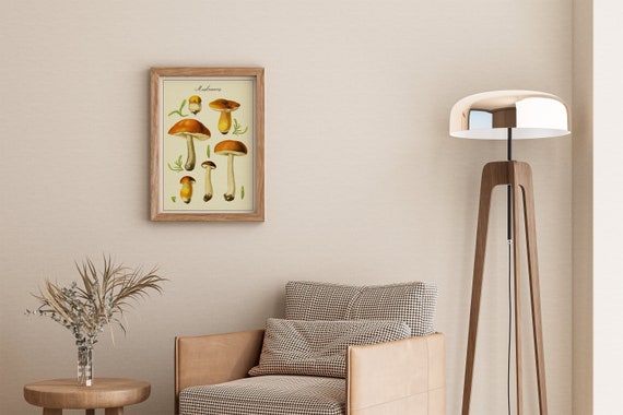 Vintage Mushroom Chart Poster: Botanical Fungus Print