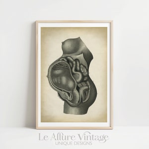 Pregnancy Anatomy Print, Fetus Vintage Anatomy Poster, Pregnant Medical Wall Art, Mom Anatomy Poster, Scientific Anatomy Print, image 7