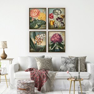 May include: Set of four framed botanical prints featuring colorful flowers and plants. The prints are in a vintage style and have a white background. The frames are brown wood.