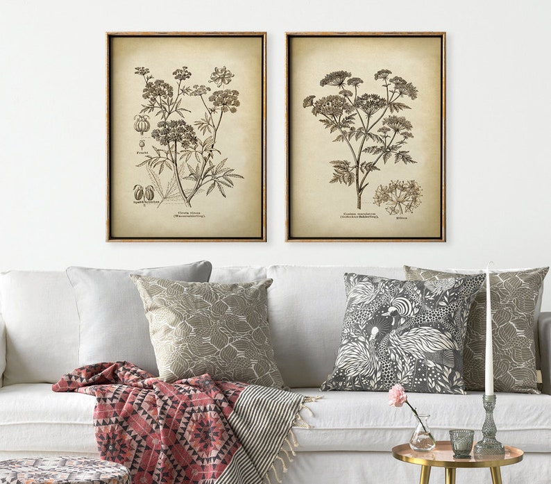 Pu&ograve; includere: Due stampe botaniche vintage in bianco e nero, incorniciate in legno, con sfondo beige. Le stampe raffigurano illustrazioni dettagliate di piante fiorite.