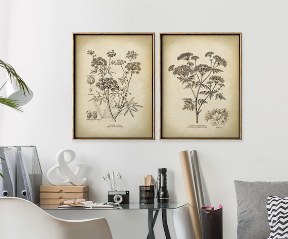 Poisonous Plants Botanical Print Set: Vintage Herbal Art