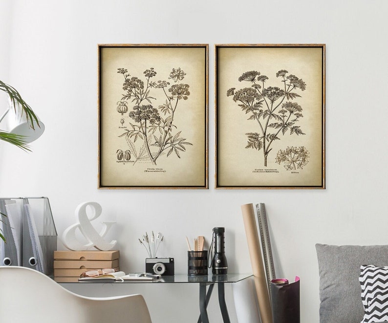 Pu&ograve; includere: Due stampe botaniche vintage in bianco e nero, incorniciate in una cornice di legno marrone chiaro. Le stampe presentano illustrazioni dettagliate di una pianta fiorita con il nome latino "Chaerophyllum Temulentum (Cerfoglio selvatico)" e "Daucus Carota (Carota selvatica)".