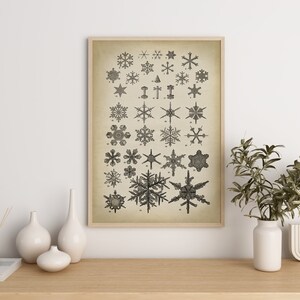 SNOWFLAKE Print, Flake of Snow Poster, winter decor wall art, geometric ice crystal, scientific illustration Fast Track Shipping image 5