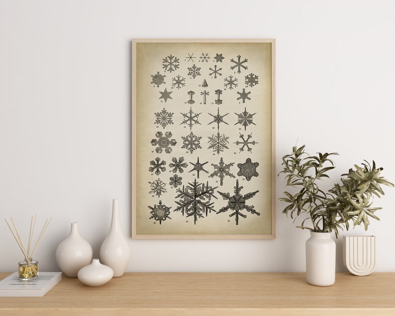 SNOWFLAKE Print, Flake of Snow Poster, winter decor wall art, geometric ice crystal, scientific illustration Fast Track Shipping image 5