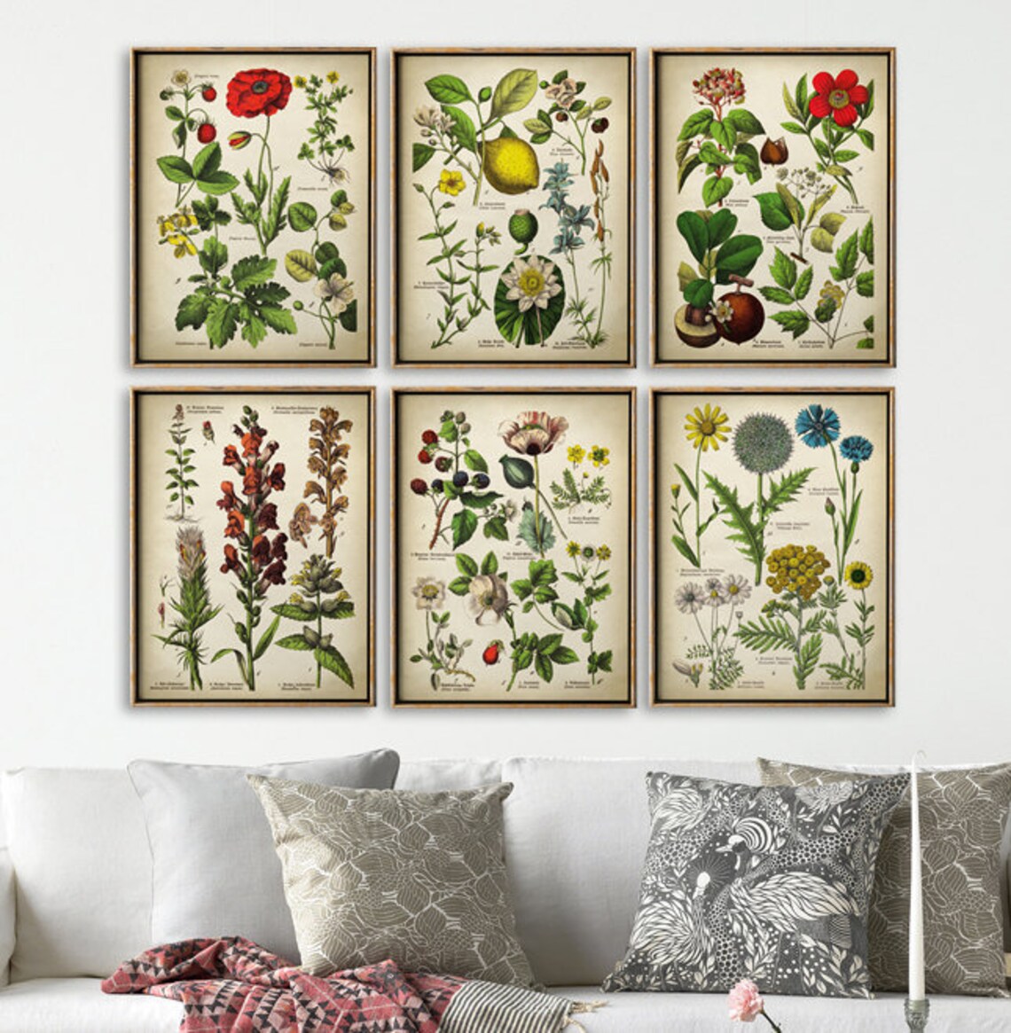 BOTANICAL Print Set of 6 Art Prints Medicinal Plants Etsy