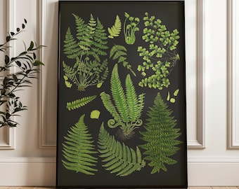 Fern Print: Dark Botanical Wall Art, Scientific Illustration